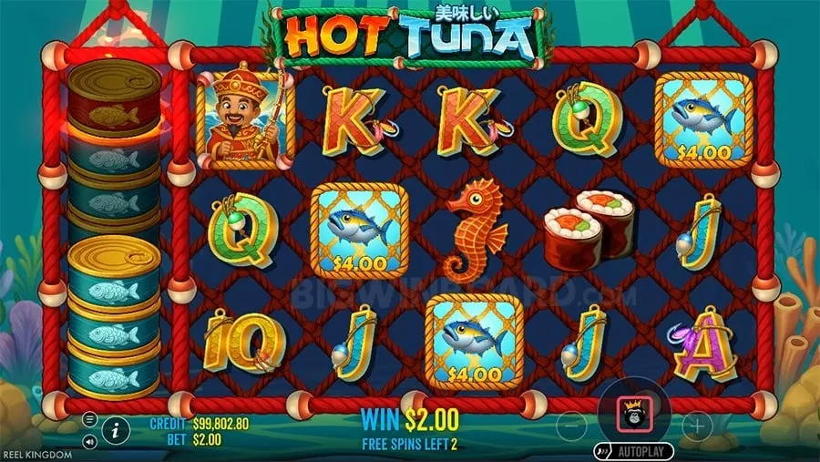 cczz Comparing Online vs Land Casinos